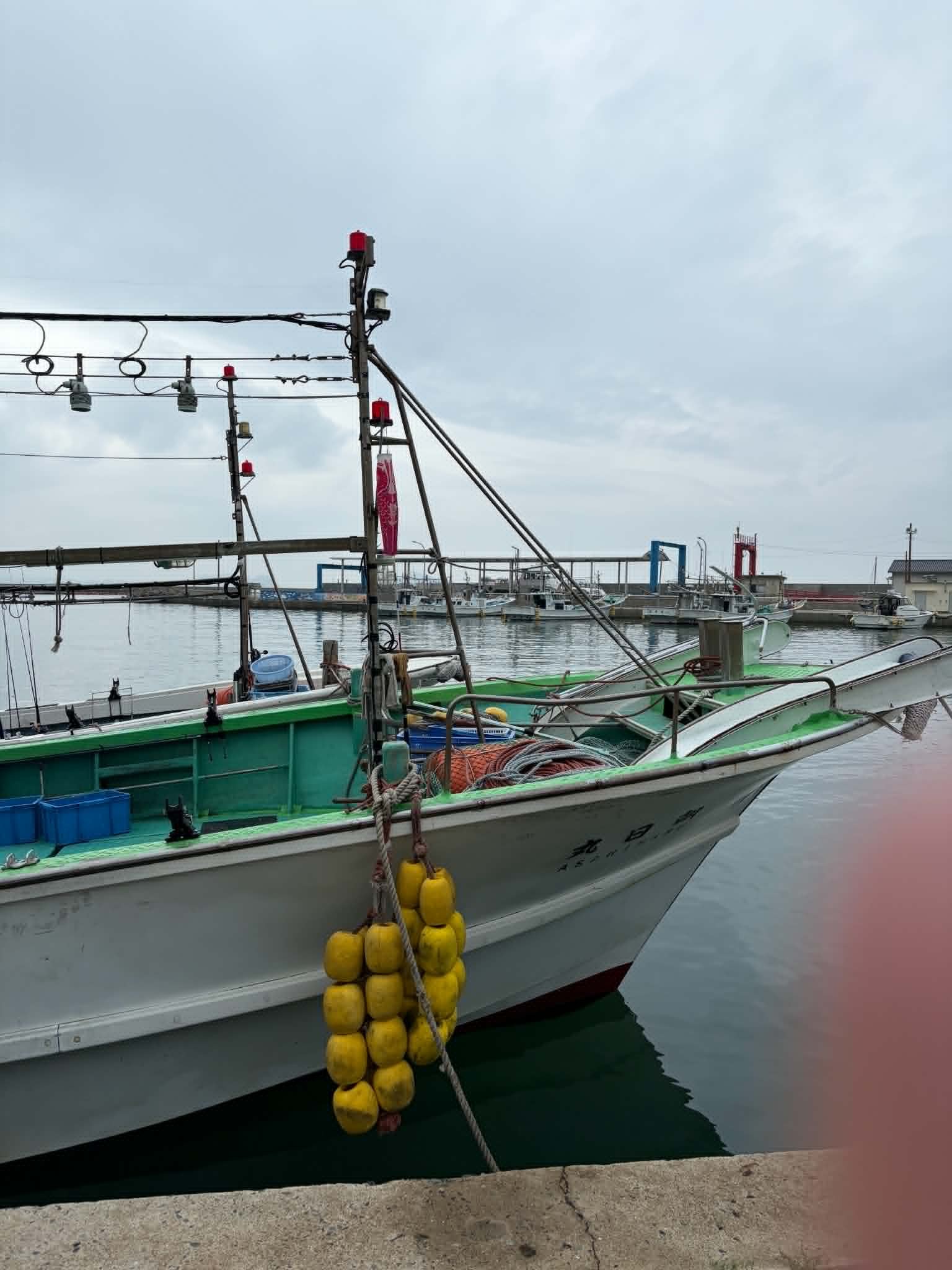 釣りに行きました